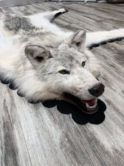 Rugs - Arctic Wolf #23710