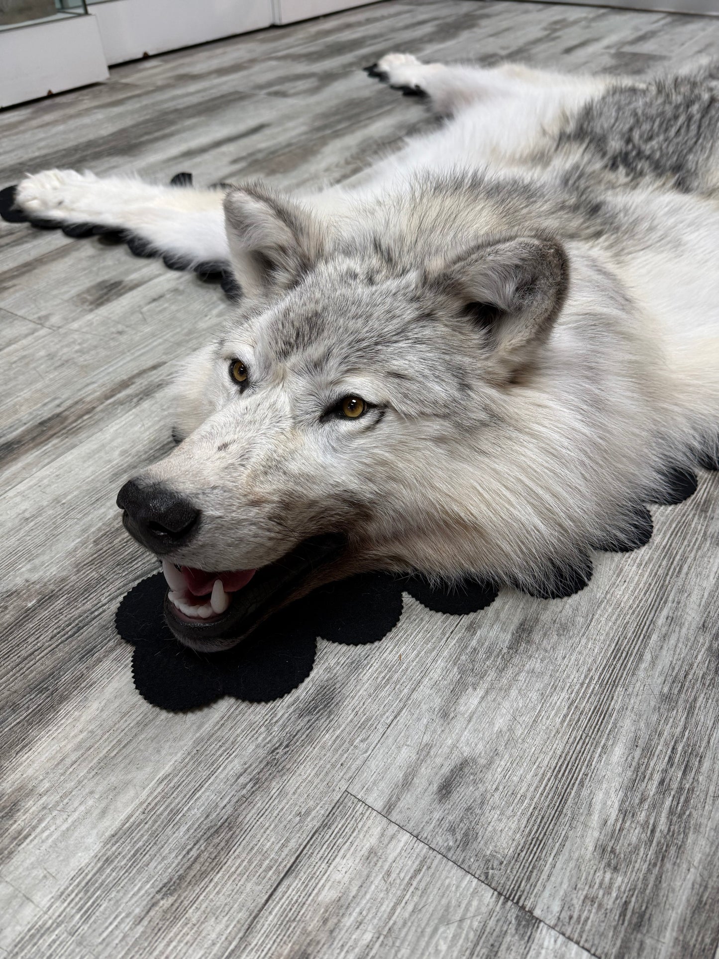 Rugs - Arctic Wolf #23710