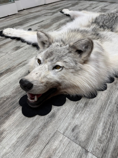 Rugs - Arctic Wolf #23710