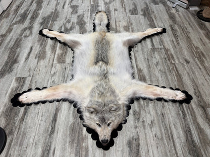 Rugs - Arctic Wolf #23711