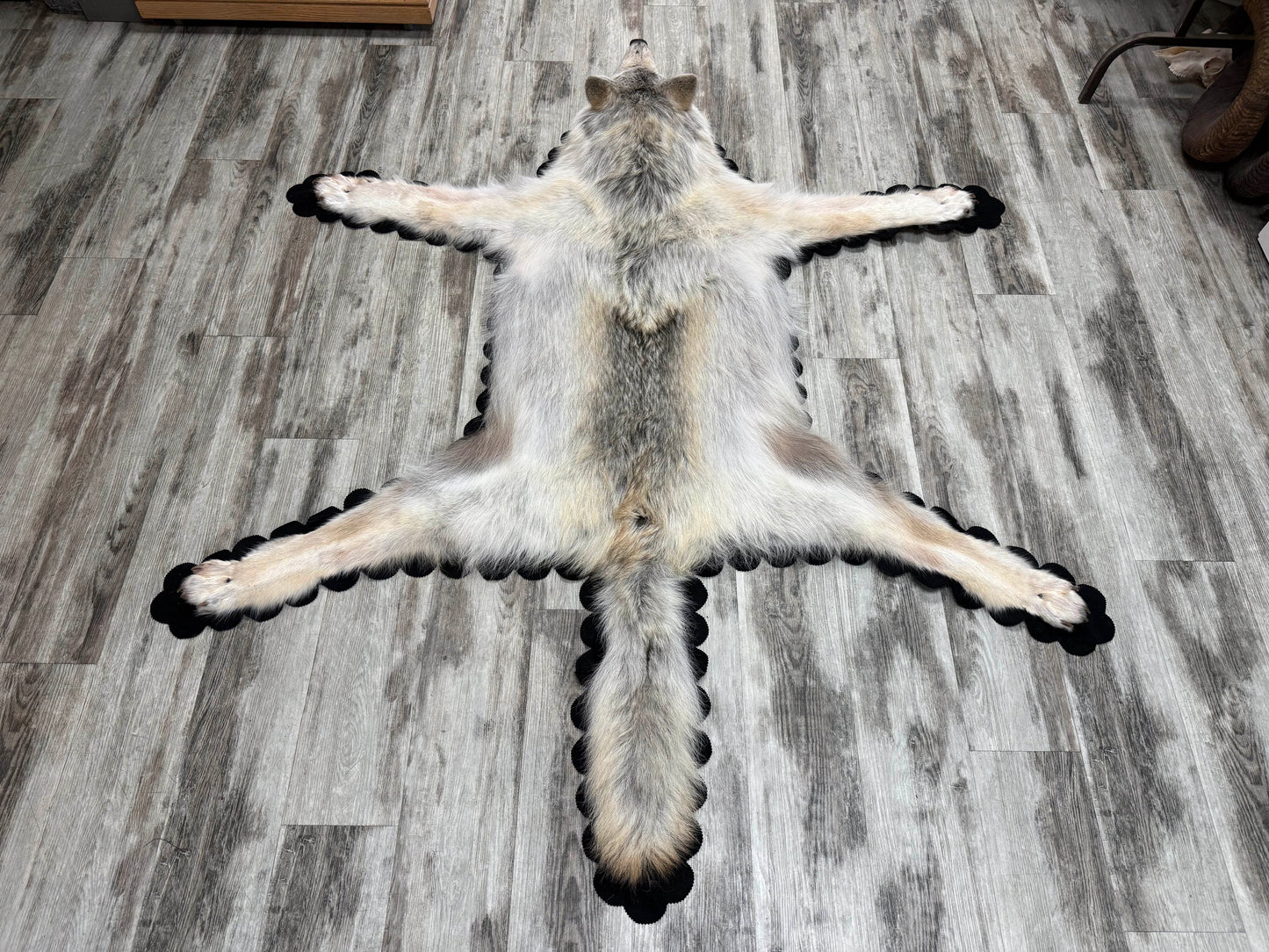 Rugs - Arctic Wolf #23711