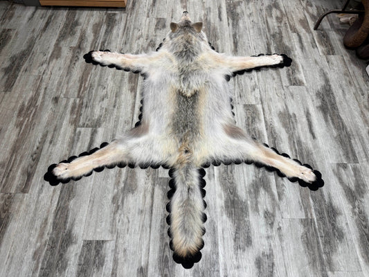 Tapis - Loup Arctique #23711