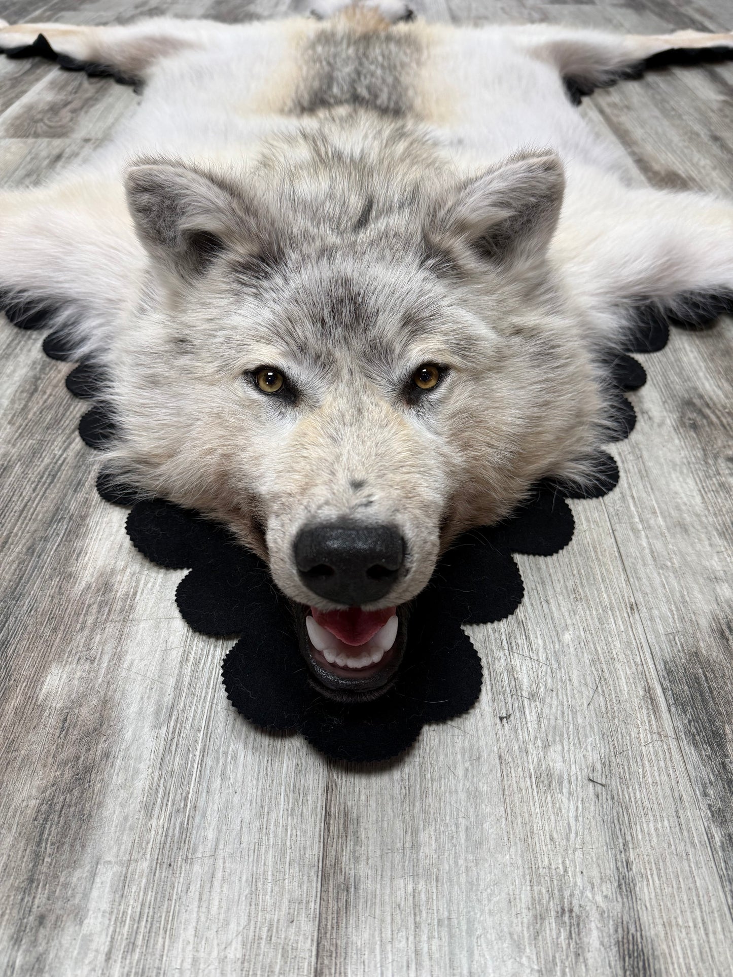 Rugs - Arctic Wolf #23711