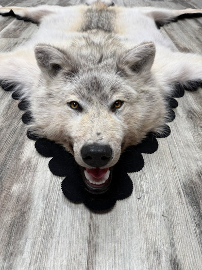 Rugs - Arctic Wolf #23711