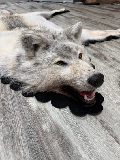 Rugs - Arctic Wolf #23711
