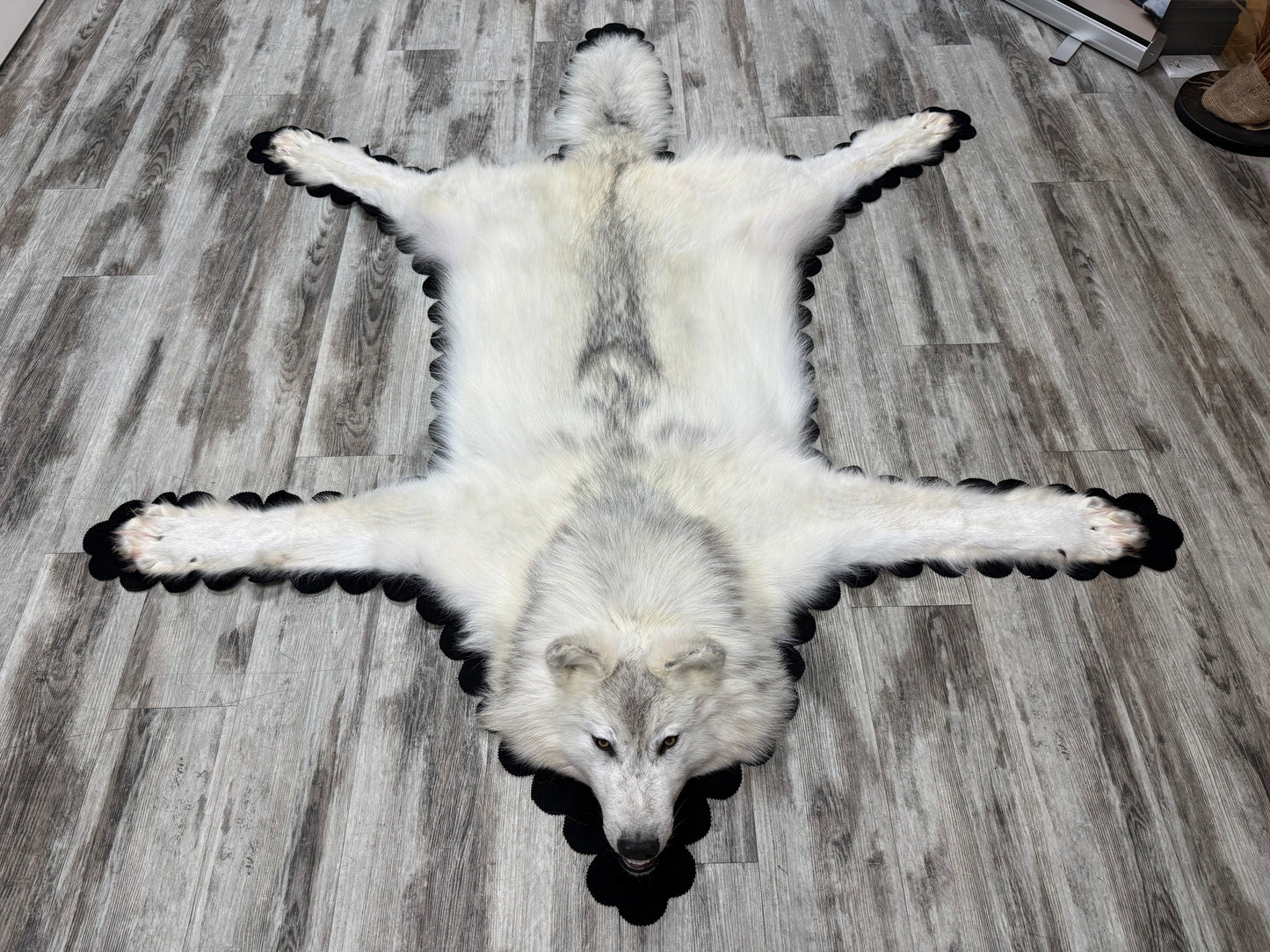 Rugs - Arctic Wolf #24011