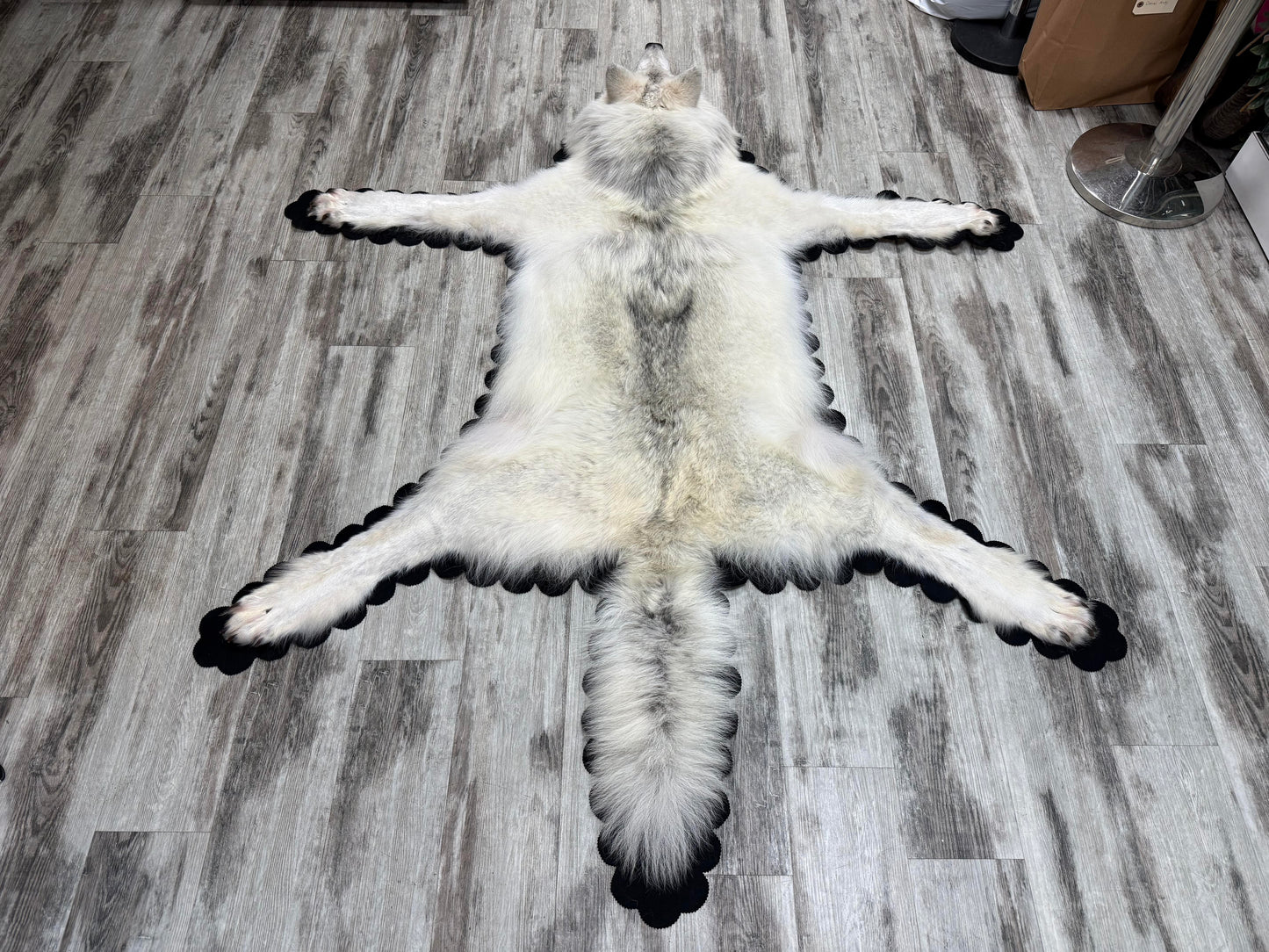 Rugs - Arctic Wolf #24011