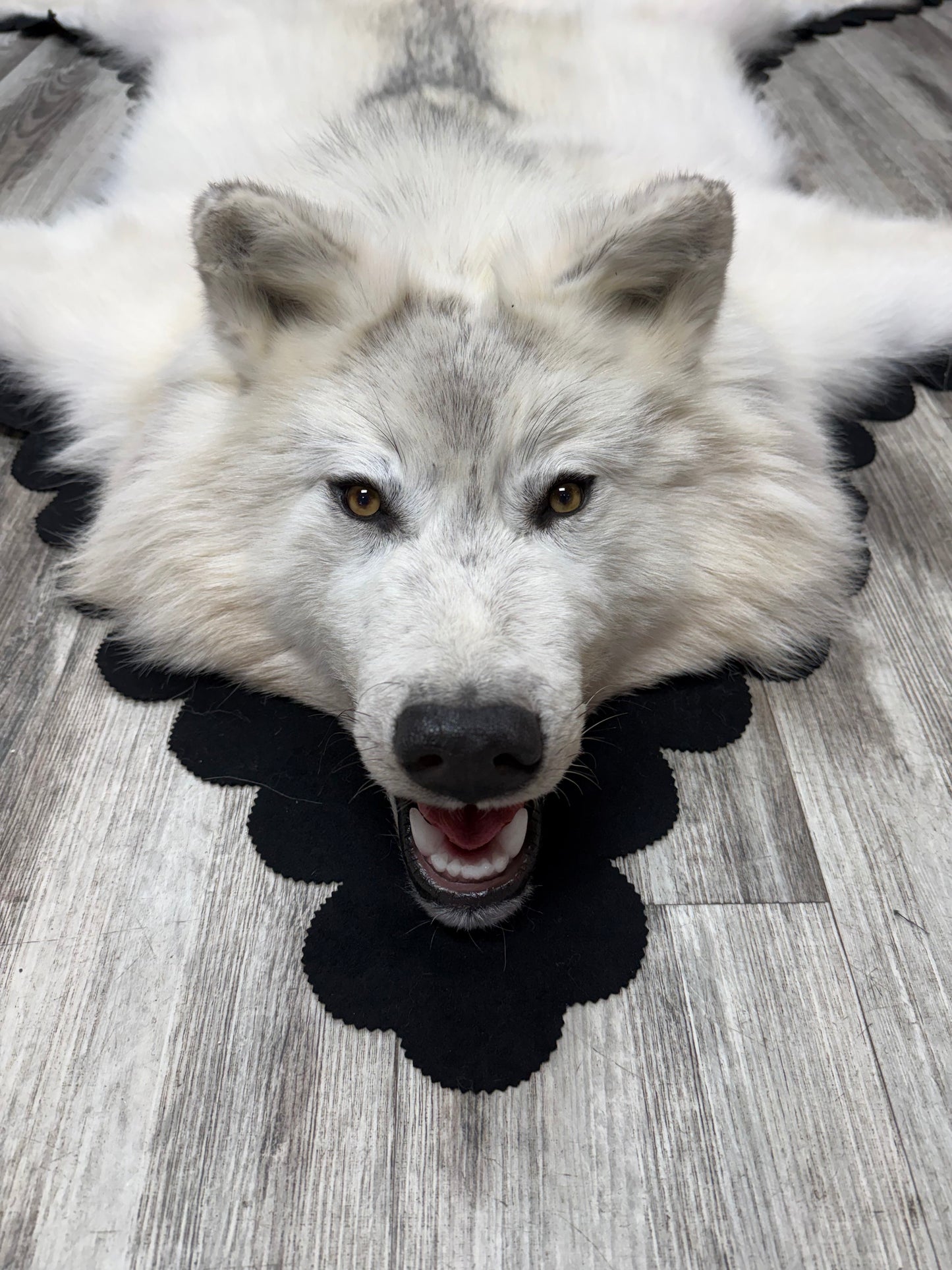 Rugs - Arctic Wolf #24011
