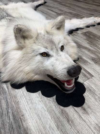 Rugs - Arctic Wolf #24011