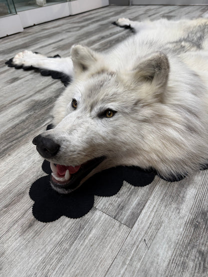 Rugs - Arctic Wolf #24011