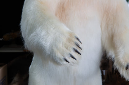 Mount - Polar Bear #24423