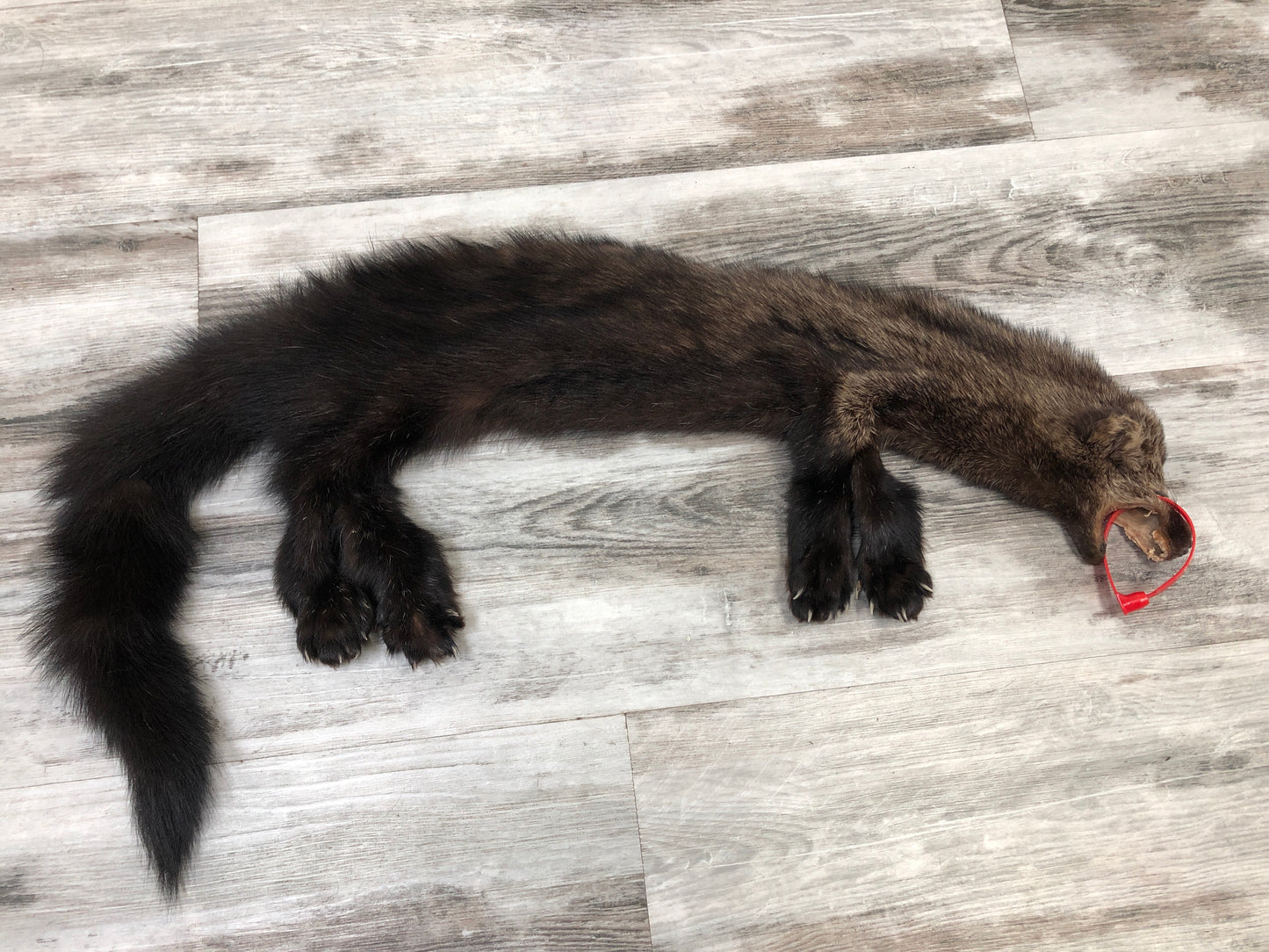 Peau - Pekan #0000286