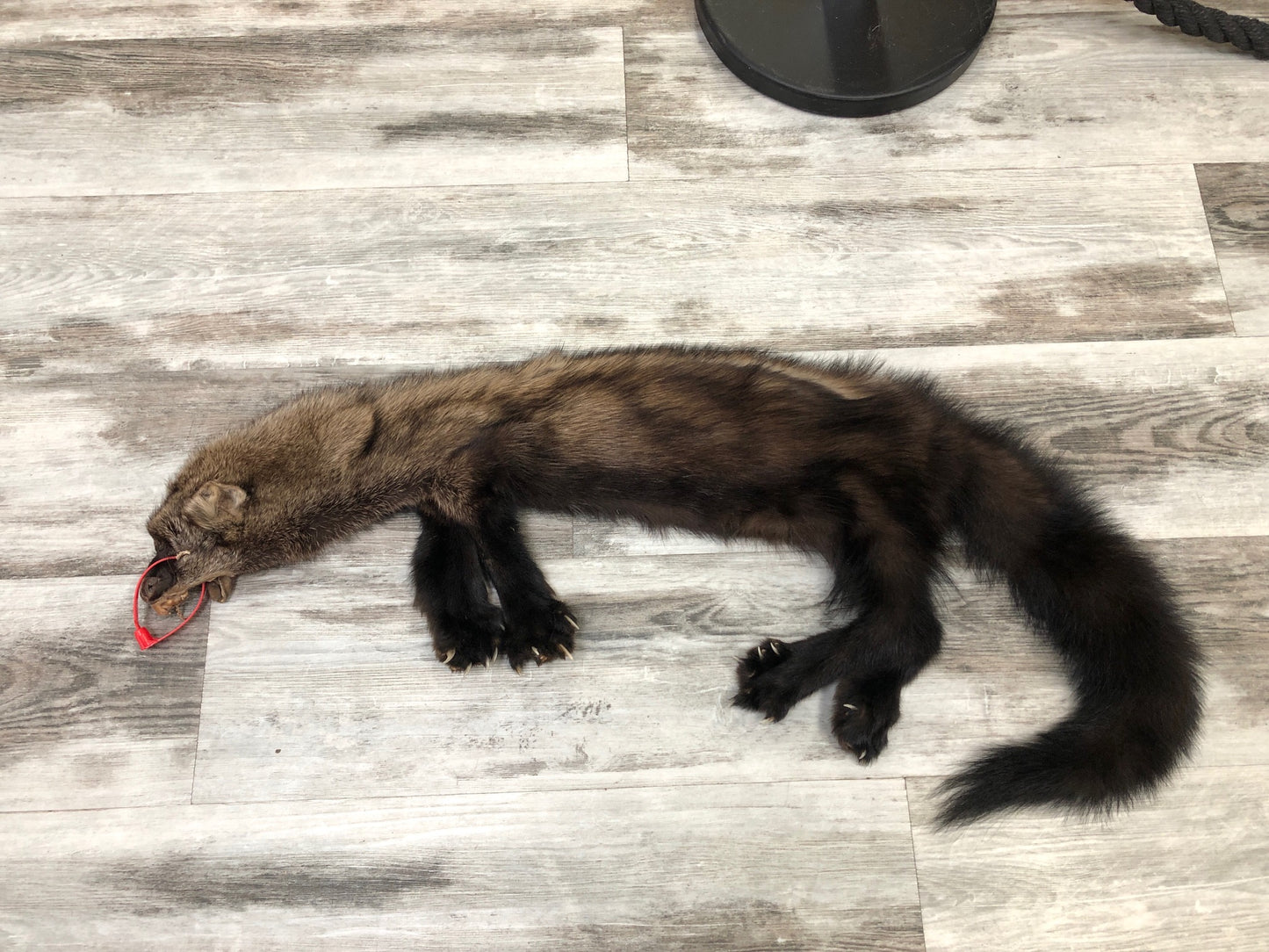 Peau - Pekan #0000295