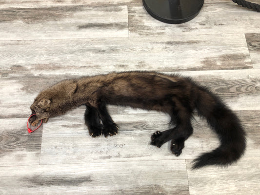 Peau - Pekan #0000295