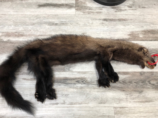 Peau - Pekan #0000295