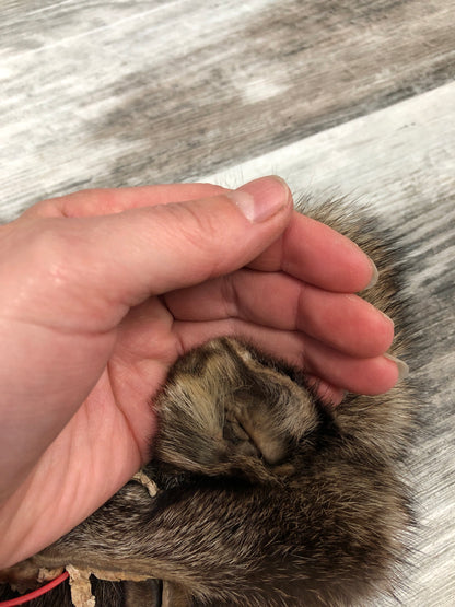 Peau - Pekan #0000295