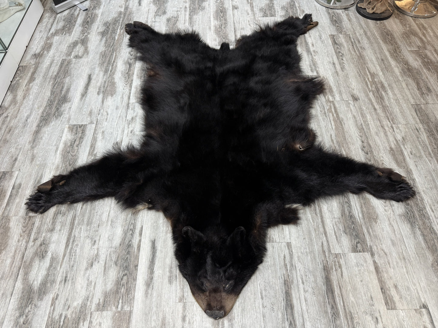Peau - Ours noir #74953884-01