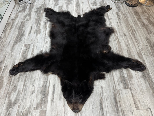 Dressed Skin - Black Bear #74953884-01