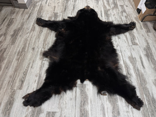 Dressed Skin - Black Bear #74953884-01