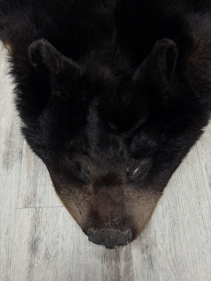 Peau - Ours noir #74953884-01