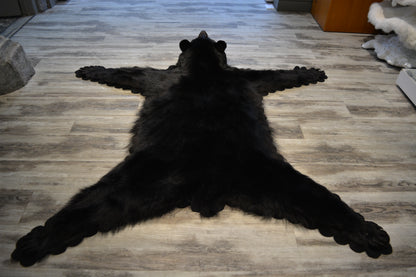 Black Bear rug - #00779