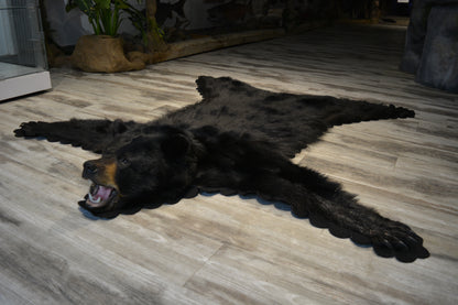 Black Bear rug - #00779