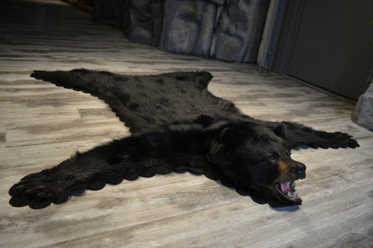 Black Bear rug - #00779