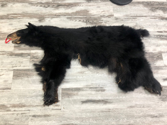 Peaux - Ours noir #0000625