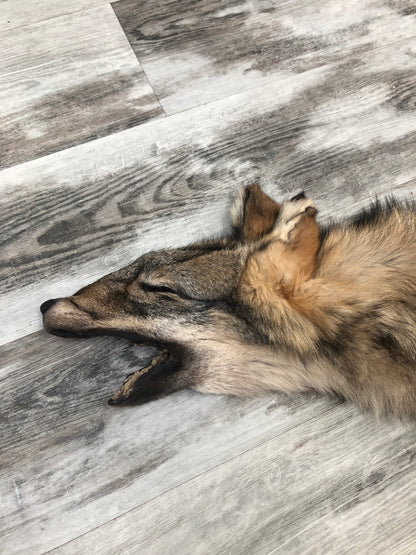 Peau - Loup des bois #0000485