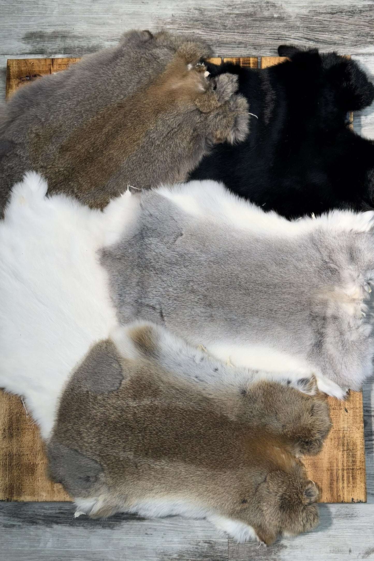 Rabbit pelts