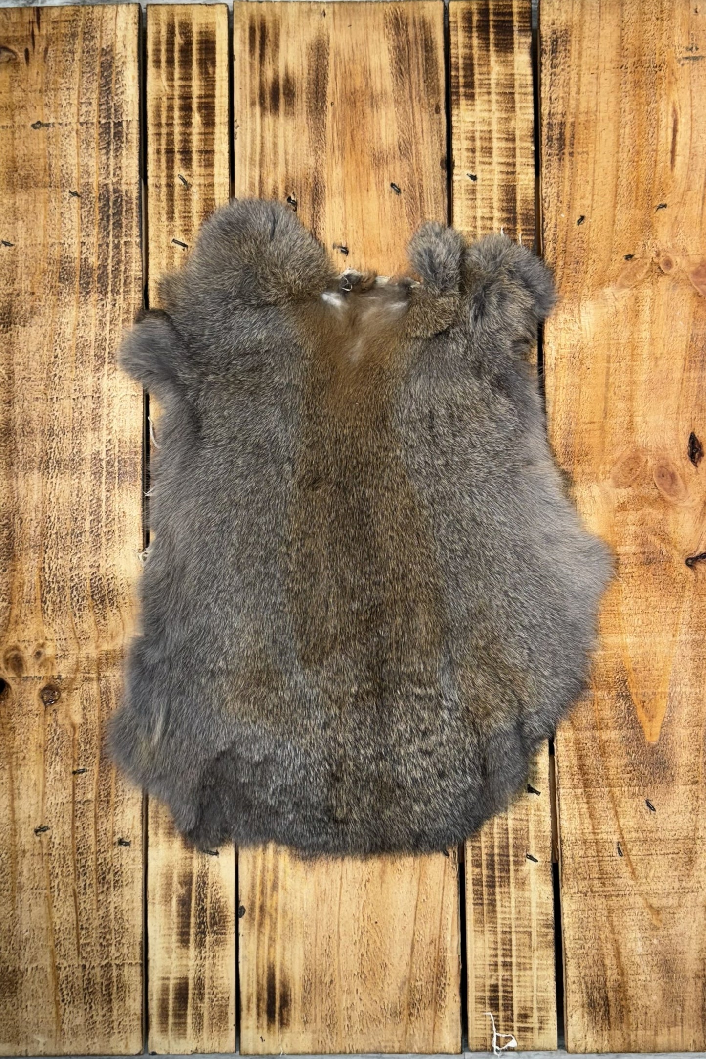 Rabbit pelts