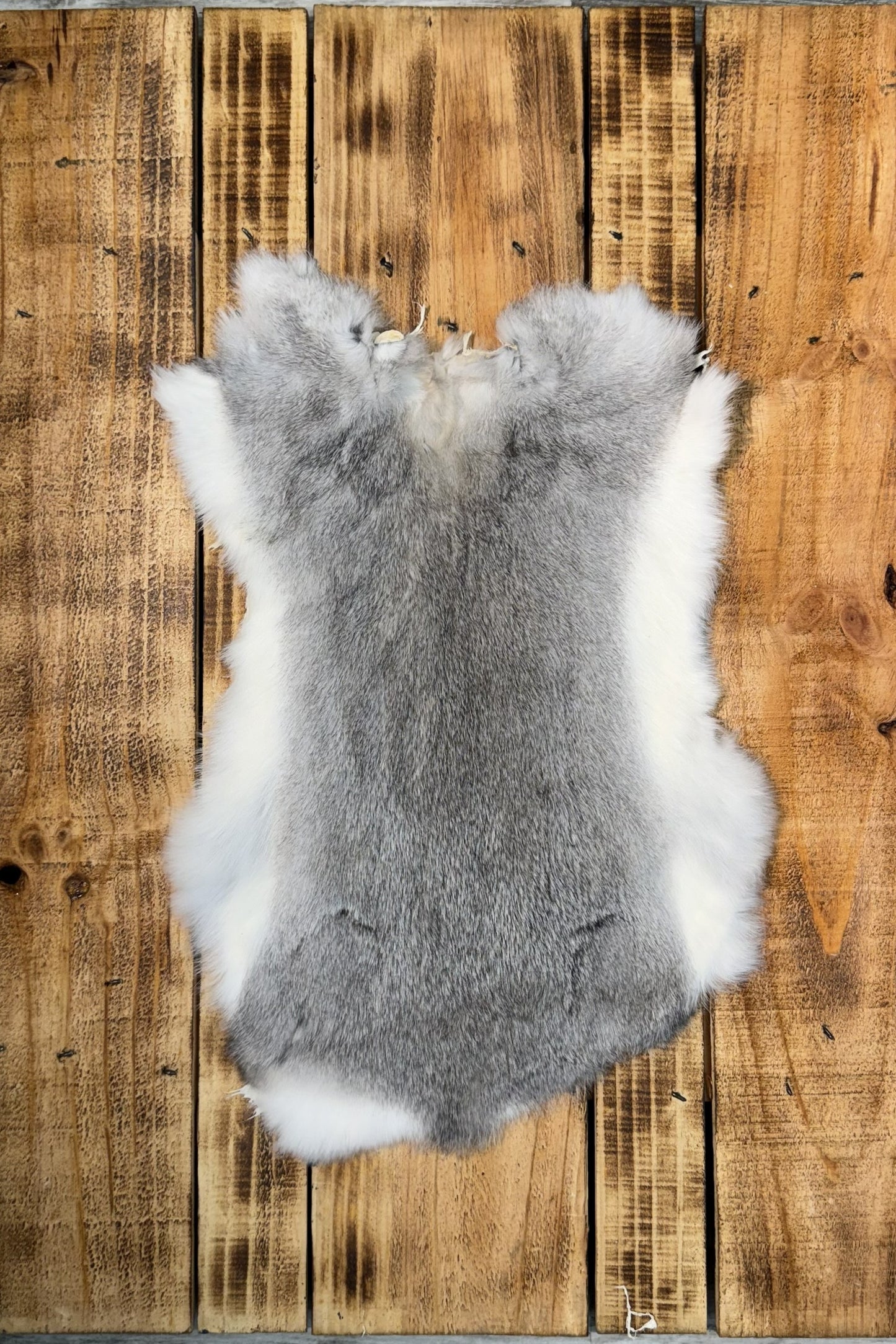 Rabbit pelts