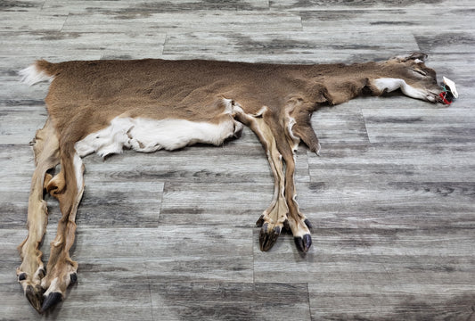 Peau - Chevreuil #0000975