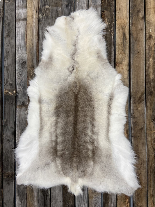 Caribou pelt