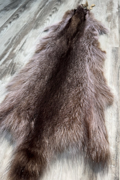 Raccoon Pelt ( Violet Tone)