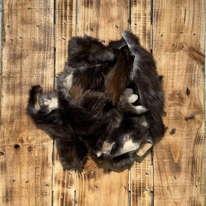 Natural Beaver Scraps