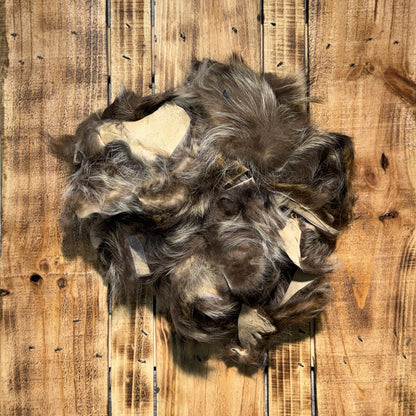 Raccoon Scraps