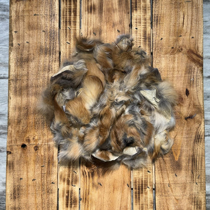 Red Fox Scraps