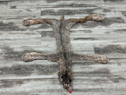 Peau - Lynx #0001349