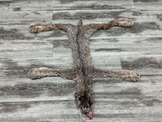 Peau - Lynx #0001349