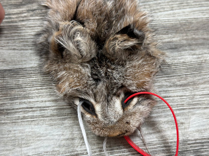 Peau - Lynx #0001349