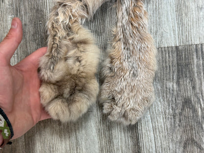 Peau - Lynx #0001349