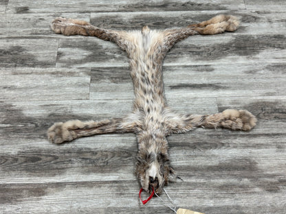 Peau - Lynx #0001349