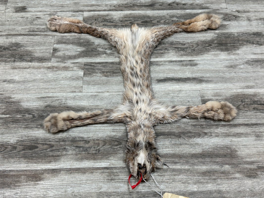 Peau - Lynx #0001349
