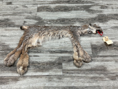 Peau - Lynx #0001349