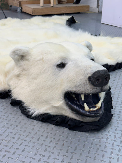 Tapis - Ours Polaire #0007