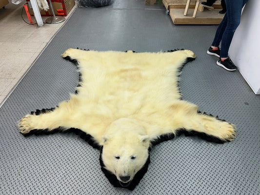 Rugs - Polar Bear #0008