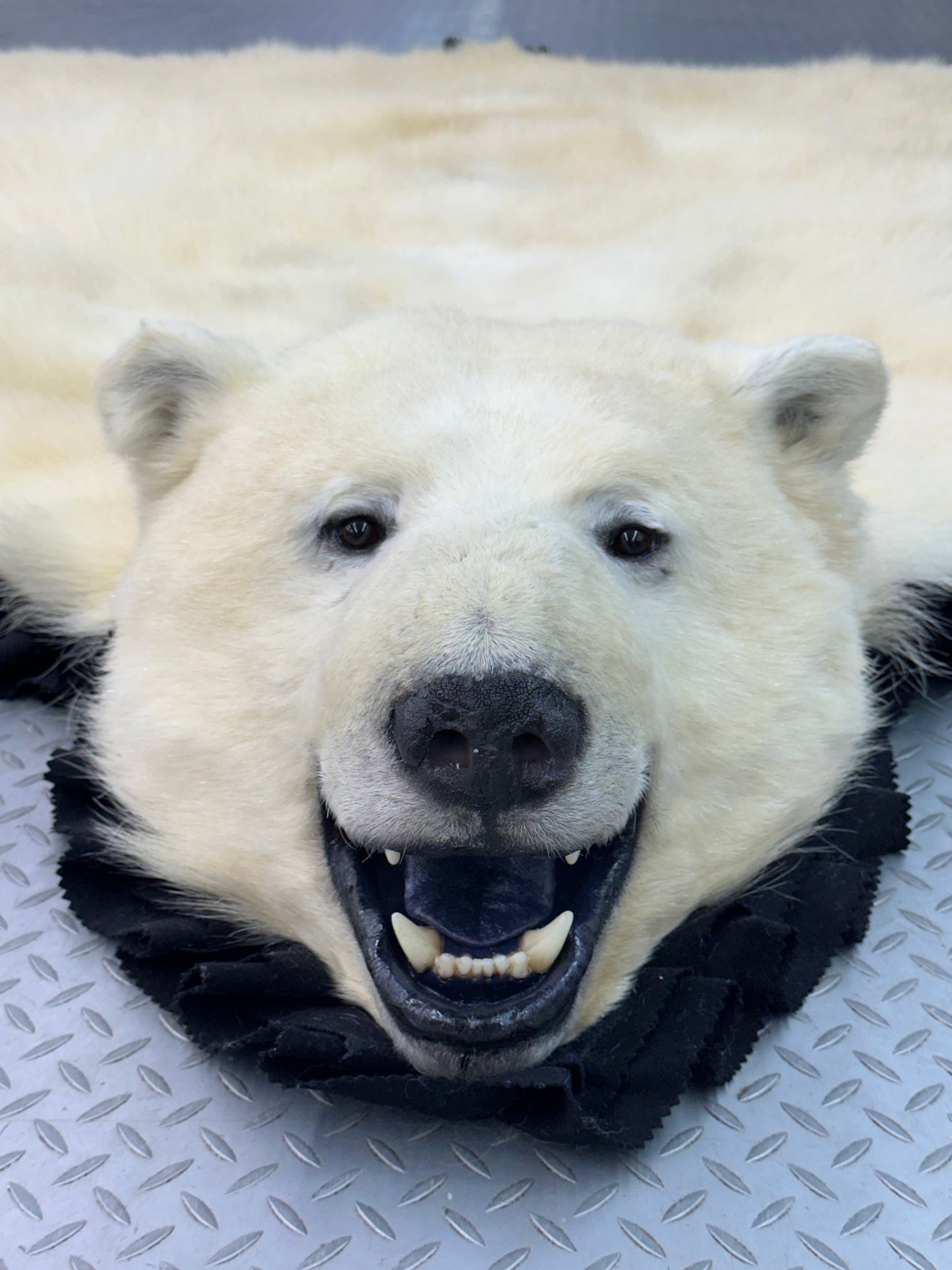Tapis - Ours Polaire #0008