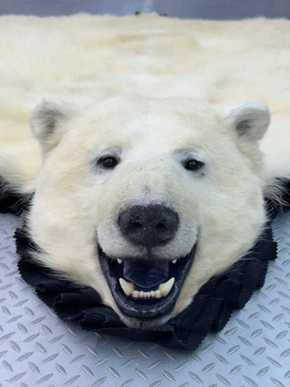 Tapis - Ours Polaire #0008