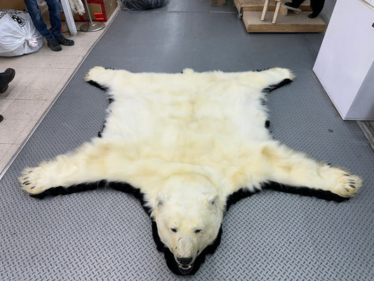 Rugs - Polar Bear #0010